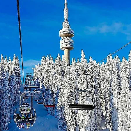 Grand Monastery - Azure 4* Pamporovo
